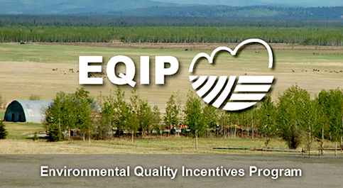 eqip