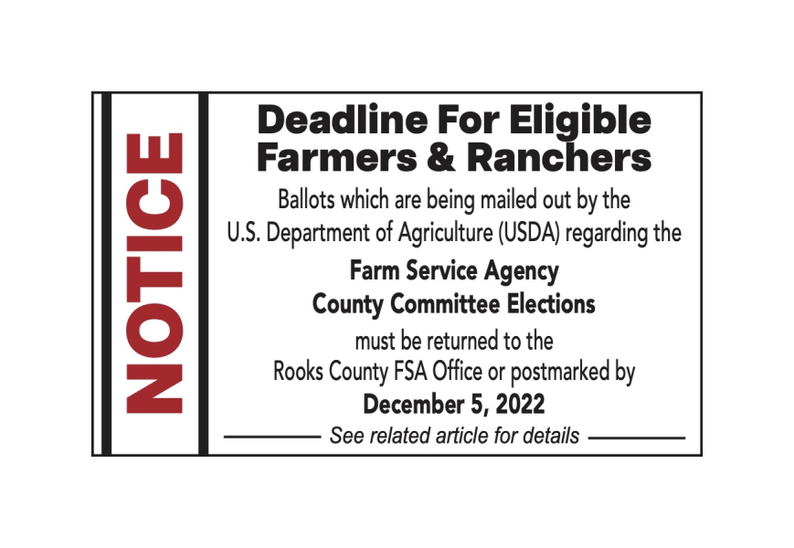 fsa deadline