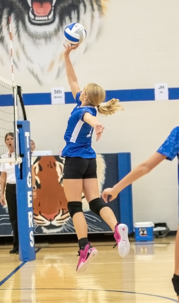 Makinley Riener vs. Lincoln