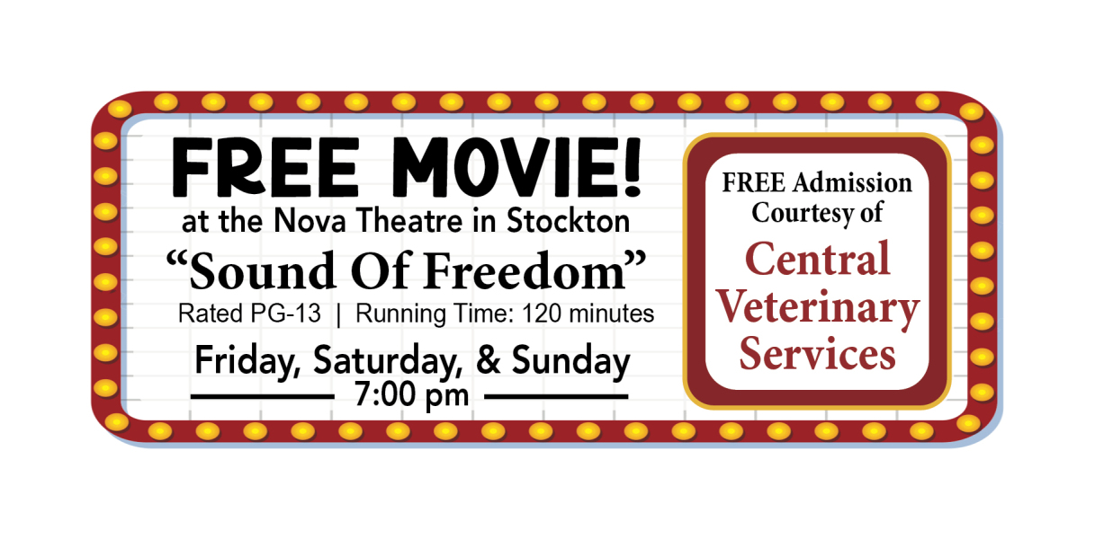 nova free movie