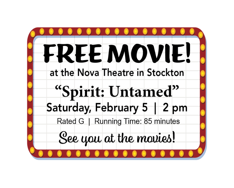 nova free movie