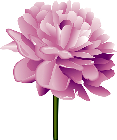 peony