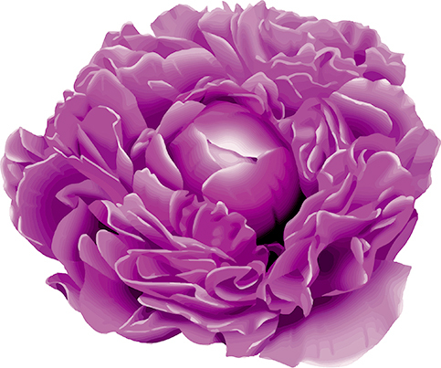 peony