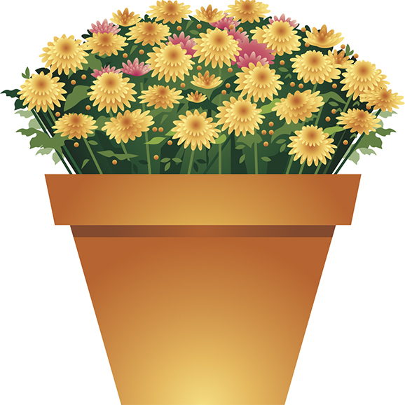 pot of flowers