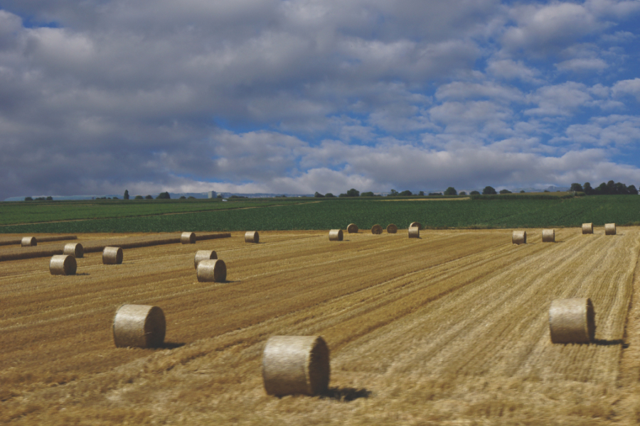 round bales