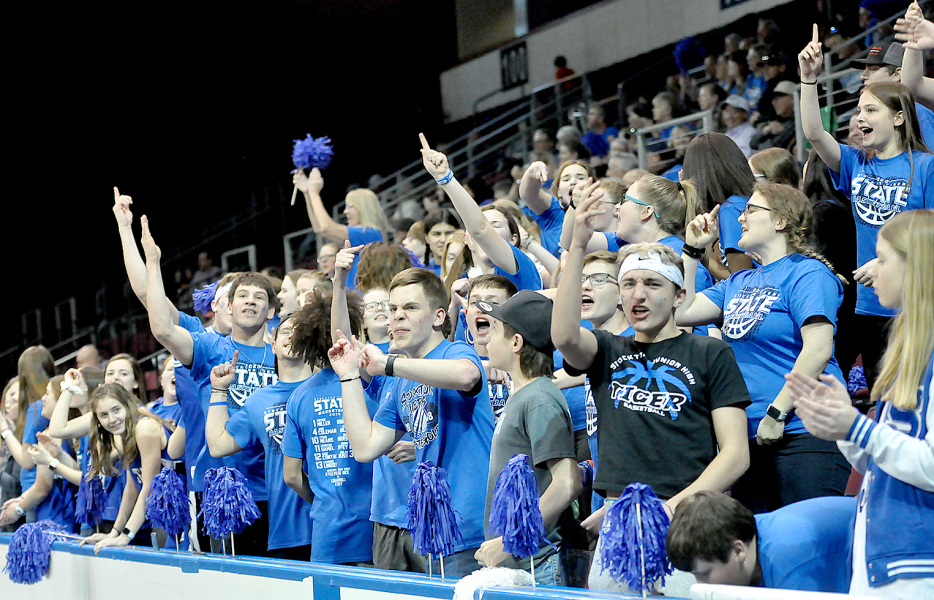 student section 01
