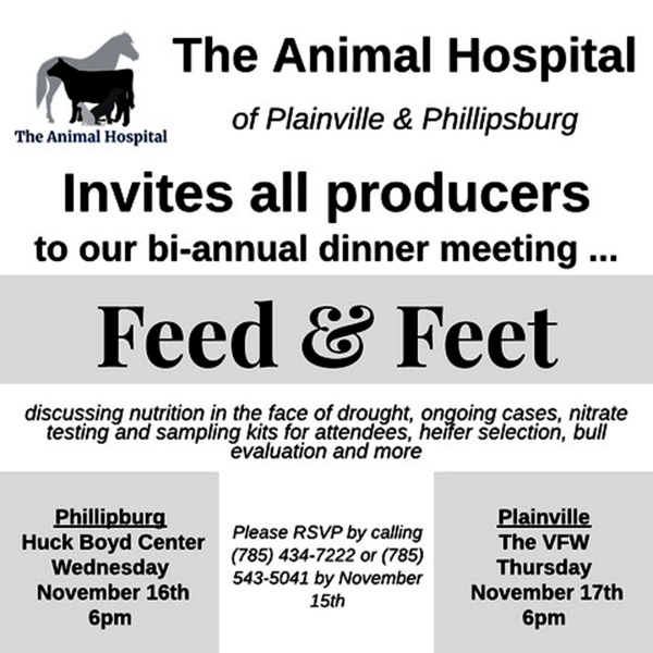 the animal hospital