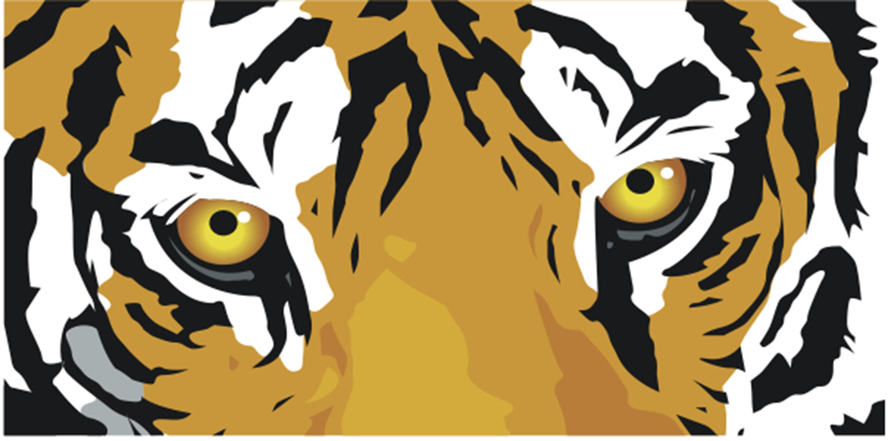 tiger eyes