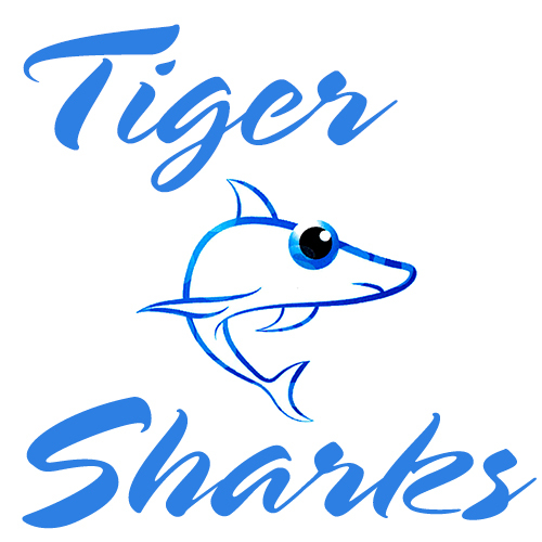 tiger sharks