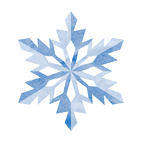 winter snowflake