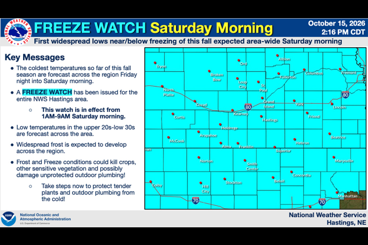 Freeze Watch
