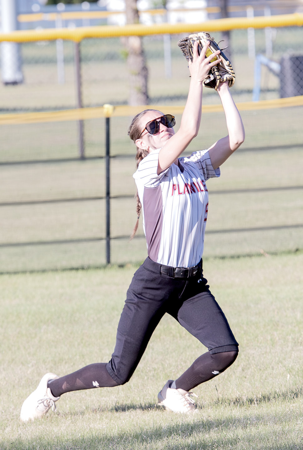 Seeing It In! | Sentinel-Times