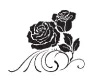 Alt Text for Image