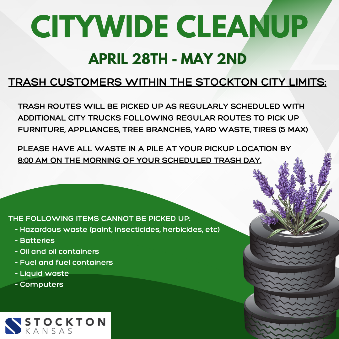 citywide cleanup