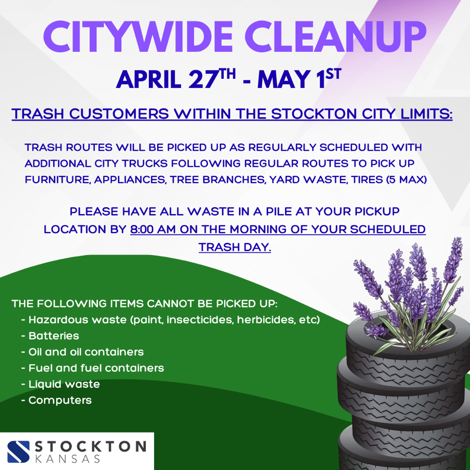 Citywide Cleanup