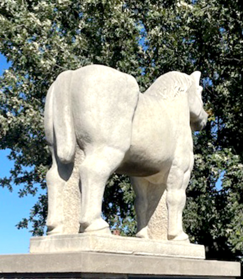 THIS IS A PICTURE of the draft horse that stands sentinel outside of the Rooks County Historical Museum, a testament to the travel and work mode of the Kansas pioneers.