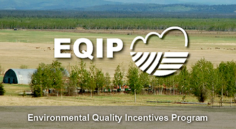 eqip