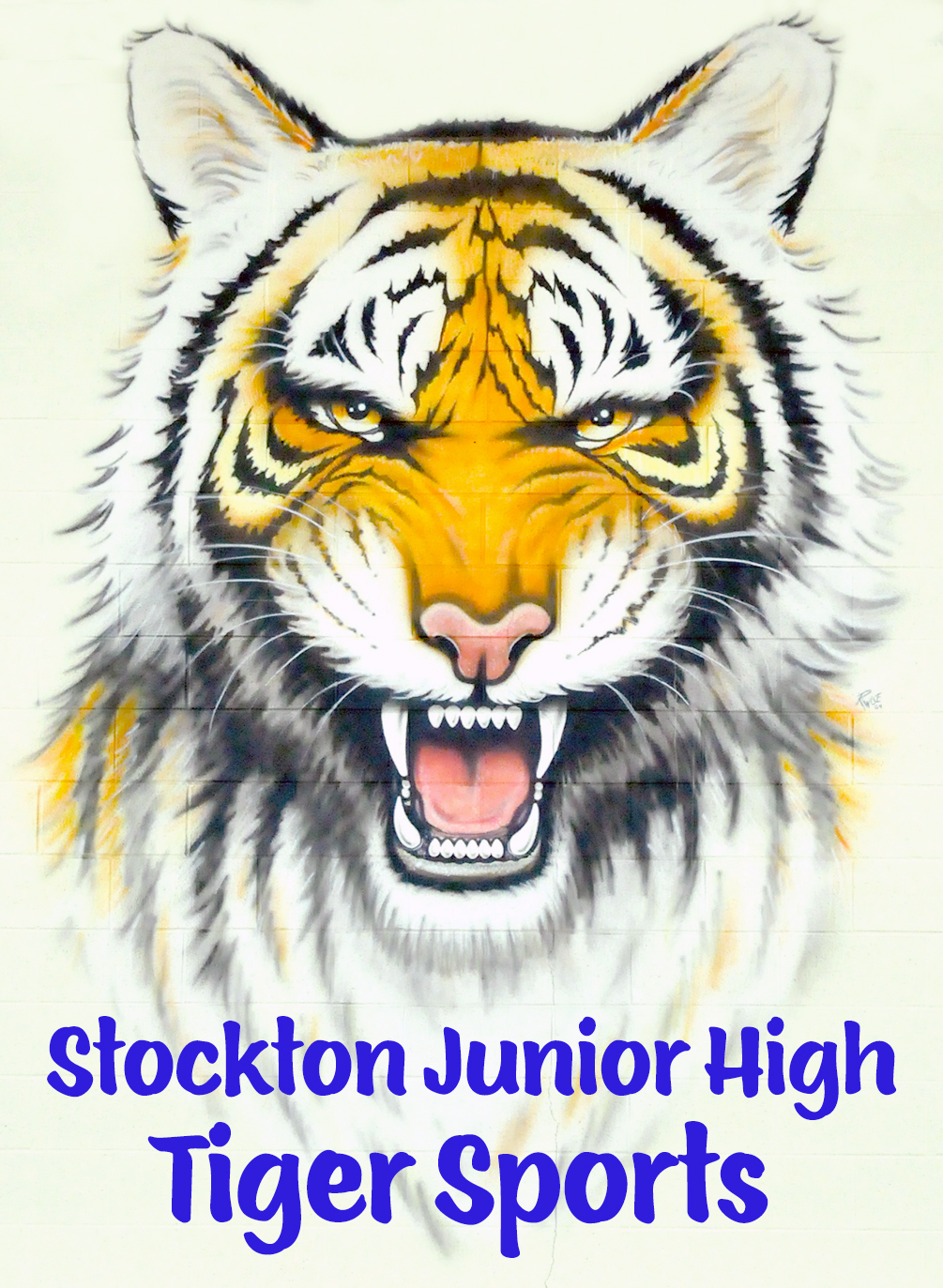 sjh tiger sports