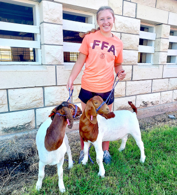 KATE HANSON with Plainville FFA is ready to show her two goats, Maddy and Tai, at this year’s Rooks County Free Fair.