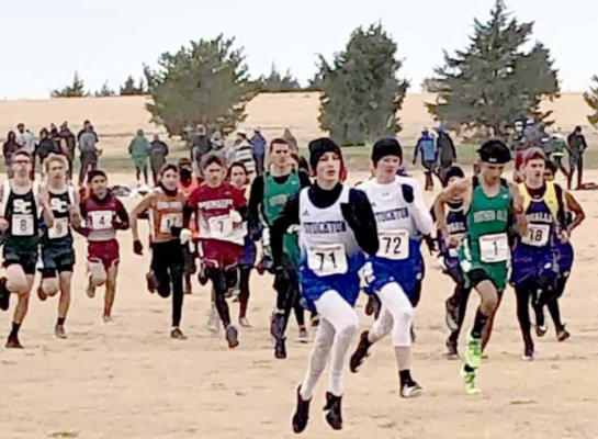 TIGER CROSS COUNTRY RUNNERS Jonathan Hamel (center front), and Cameron Lindsey (to the right of Hamel) get off to a good start in the 1A Regional Cross Country Meet held at Tribune last Saturday. Both harriers ran well, with Hamel qualifying for the State meet in Victoria this Saturday. (Photo courtesy of Christina Hamel)