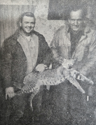 IN 1970 BOB PROCKISH (left) and Will Watson (right) pose with a young female bobcat killed on February 25th on the river bridge south of Woodston. Watson was returning home from work about 7:45 p.m. when the animal ran out in front of the car and was killed.