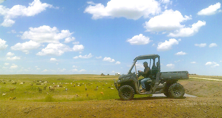 Julio…The Great Peruvian Goat Herder