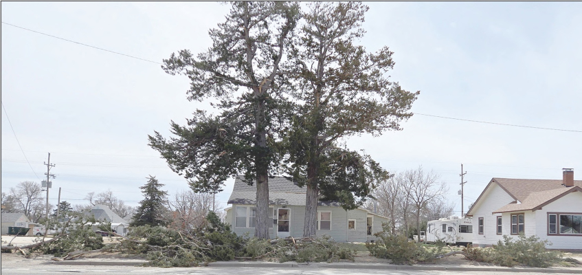 THE TREES AROUND TOWN and throughout the county took on the brunt of the March 19th snowstorm that swept through the area. In the blizzard's aftermath, piles of tree limbs could be seen around town, awaiting the city crew to pick up the debris. Many residents in and around the county experienced power loss as a result of the heavy, wet snow and blizzard-condition high winds.