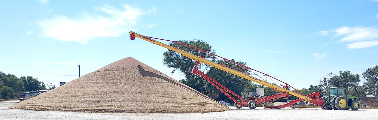 THE AREA FALL HARVEST