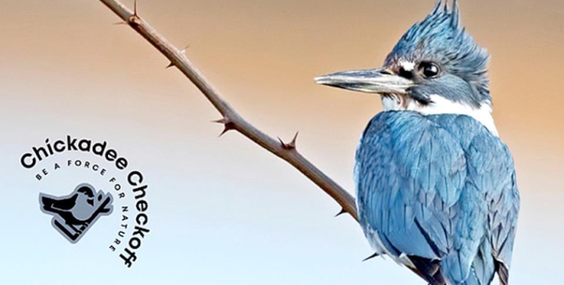 Donate a portion of your tax return to support Kansas wildlife