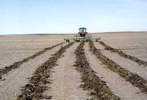 Soil erosion caused by wind
