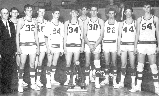 1966 TIGERS