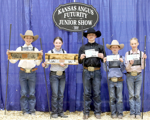 THESE YOUNG ANGUS ENTHUSIASTS