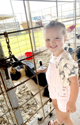4-H Fair Fun!