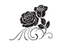 Alt Text for Image