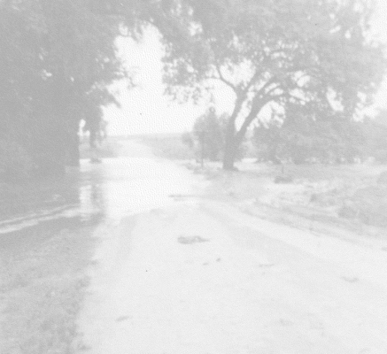KAREN ODLE brought in some pictures of the flooding by and on the Bobby and Karen Odle farm on May 21st, 1969. Karen said the rain started in the afternoon and remained steady for several hours with over seven inches recorded that day. The pictures show water coming out of their pasture on 14 Road, and in other areas in their yard.