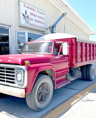 GLENDA JIRAK is pictured bringing in the first load of wheat to the Stockton Farmers Union Elevator on Thursday, June 13th, starting off the harvest season for the areas farmers. (Courtesy Photo)