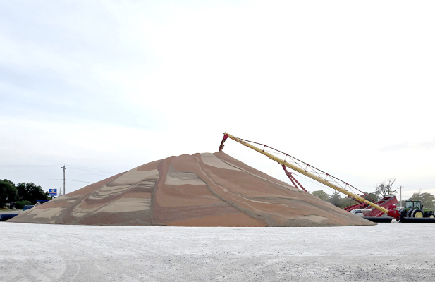 THE MILO FROM THE AREA FARMERS is being piled into colorful mountains of grain at the Stockton Farmers Union Elevator during this fall harvest season.