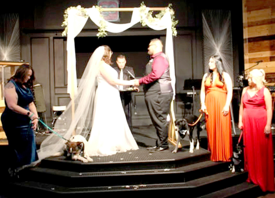 Joyful Amarillo couple weds in unique six-dog ceremony in Lubbock