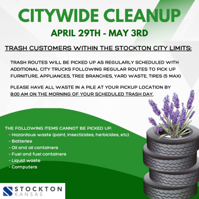 citywide cleanup