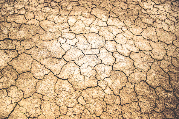 Drought