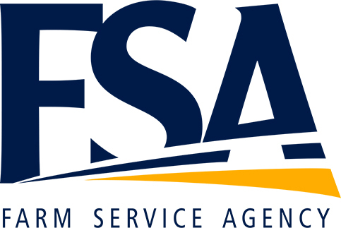 fsa