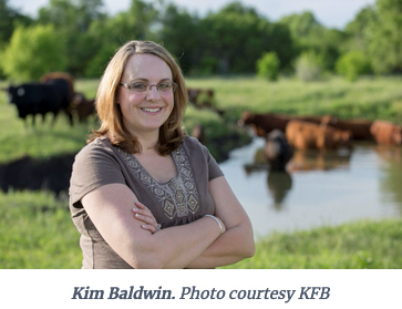kim baldwin