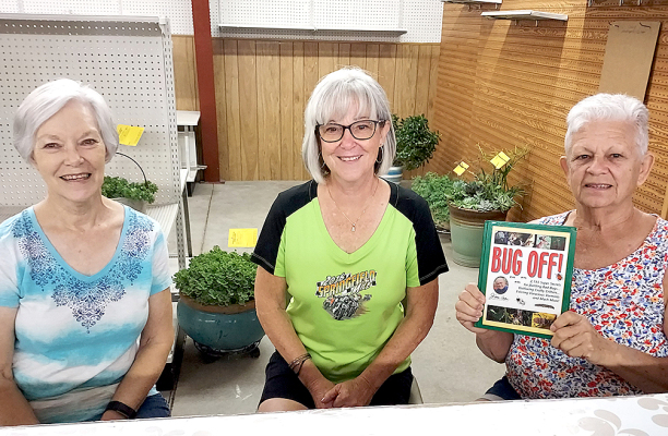 THESE LADIES helped with the Floral Open Class entries at this year's Rooks County Free Fair. Pictured are (from left) Margaret Welker, Patty Chesney, and Janet Kollman. 