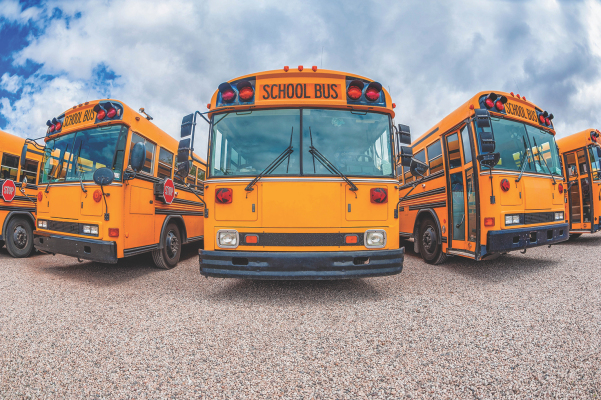 School Buses