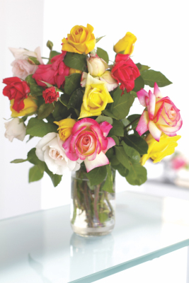 Valentine's Day Roses