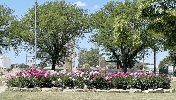 NATURE'S ARTISTRY IS ON FULL DISPLAY by the delicate peonies in full bloom, located where the old Solomon Valley Manor sign used to stand.