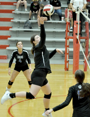 Eyeing the Volleyball