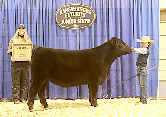 LAFRENTZ DIGNITY 301 won grand champion steer at the 2024 Kansas Angus Association Futurity Junior Show, Jan. 21 in Hutchinson. Eli Atkisson, Stockton, pictured right, owns the February 2023 son of BNWZ Dignity 8017.Taylor Frank, El Dorado, Kan., evaluated the 51 entries. (Photo by Jeff Mafi, American Angus Association)
