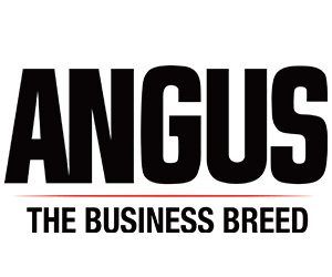 angus