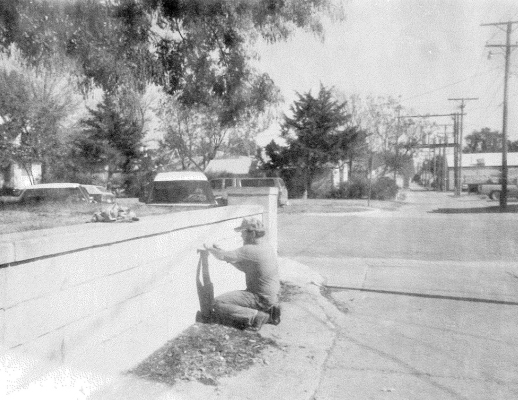IN THE FALL OF 1994